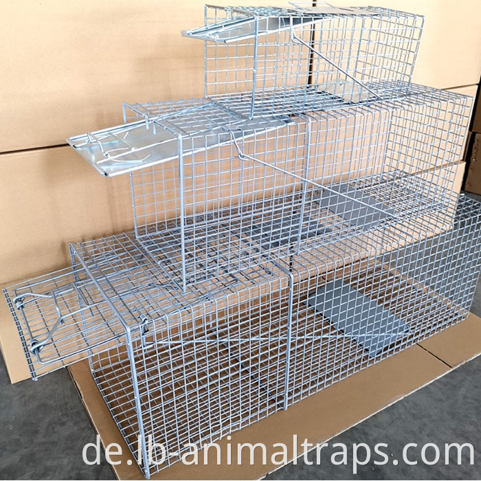 Humane Animal Trap Cage